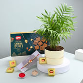 Palm Plant With Enchanting Rakhi N Burfi