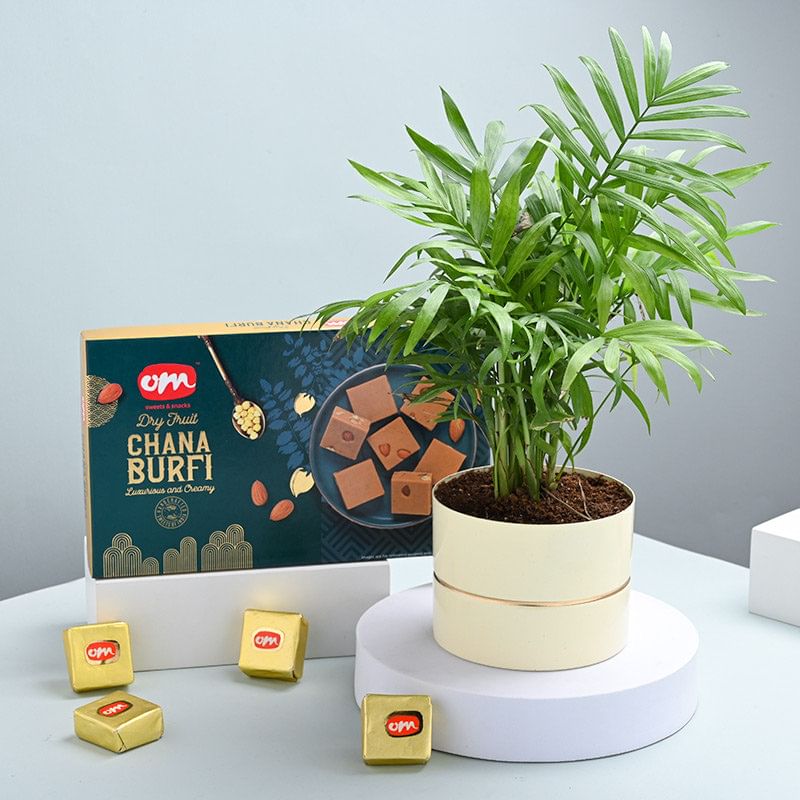 Product Image Video