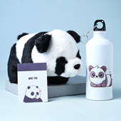 Panda World Collection: special gift for boys