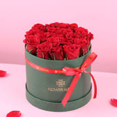 Passionate Red Rose Elegance