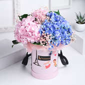 Pastel Idyllic Hydrangeas Flowers Online Delivery