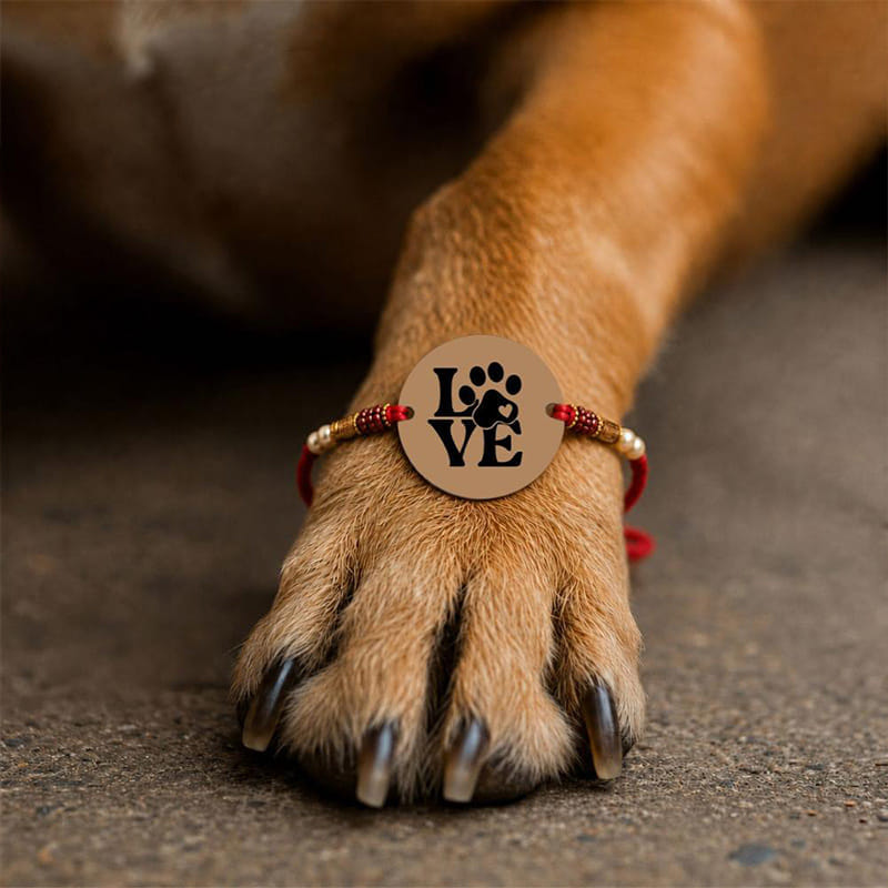 Paw Love Theme MDF Magnet Rakhi