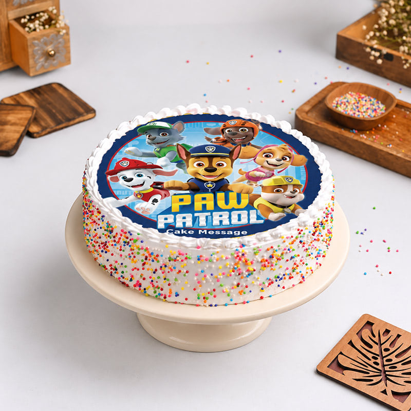 Paw Patrol Funfetti Party Cake