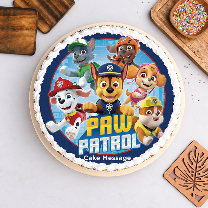 Paw Patrol Funfetti Party Cake