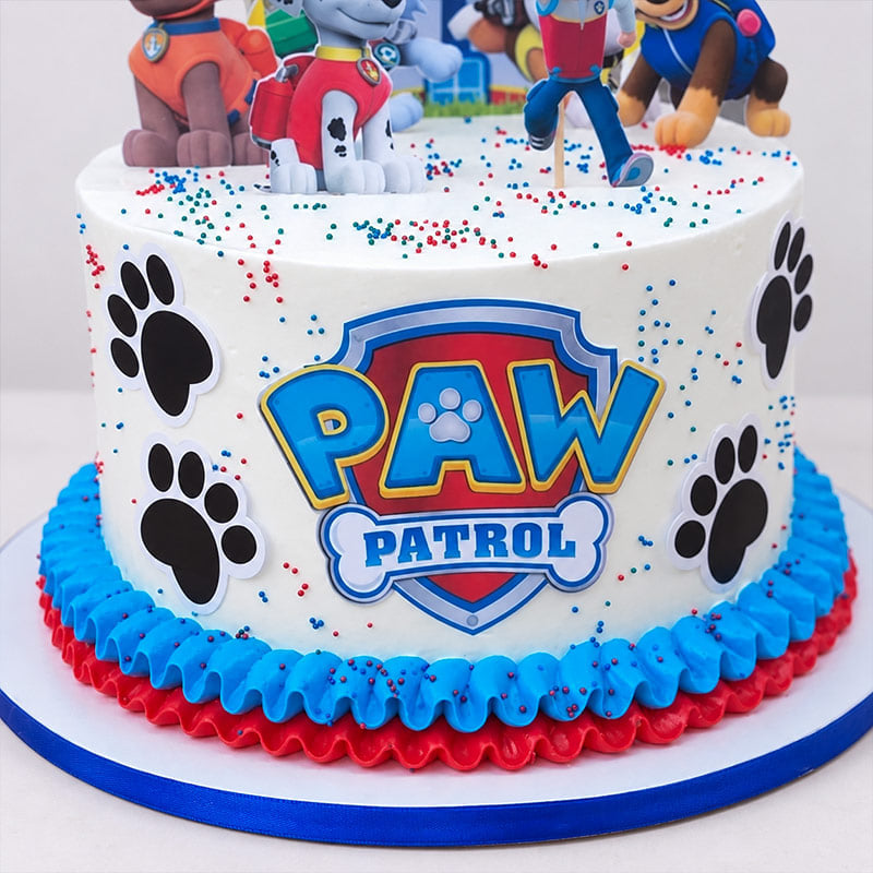 Paw Patrol Squad Birthday Cake