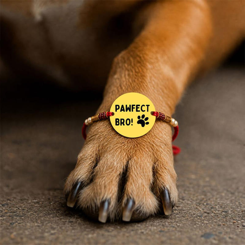 Pawfect Bro MDF Magnet Rakhi with Heart Paw Design