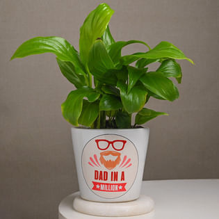 Peace Lily For Dad