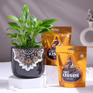 Peace Lily In Black Mandala Pot With Chocolates