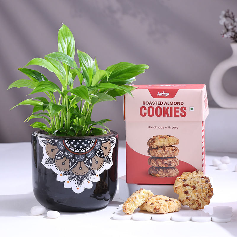 Peace Lily In Black Mandala Pot With Cookies