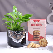 Peace Lily In Black Mandala Pot With Cookies