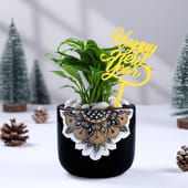 Peace Lily In Mandala Pot For New Year