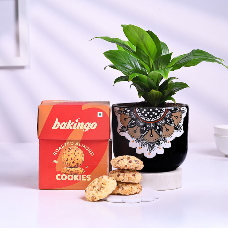 Peace Lily In Mandala Pot With Almonds Cookies