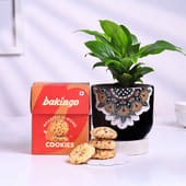 Peace Lily In Mandala Pot With Almonds Cookies