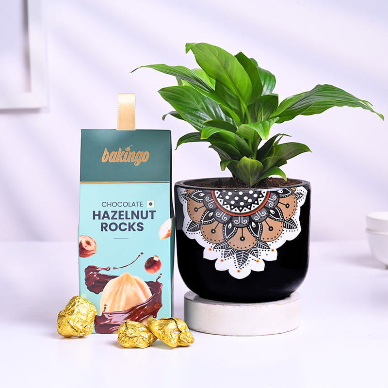 Peace Lily In Mandala Pot With Hazelnut Rocks