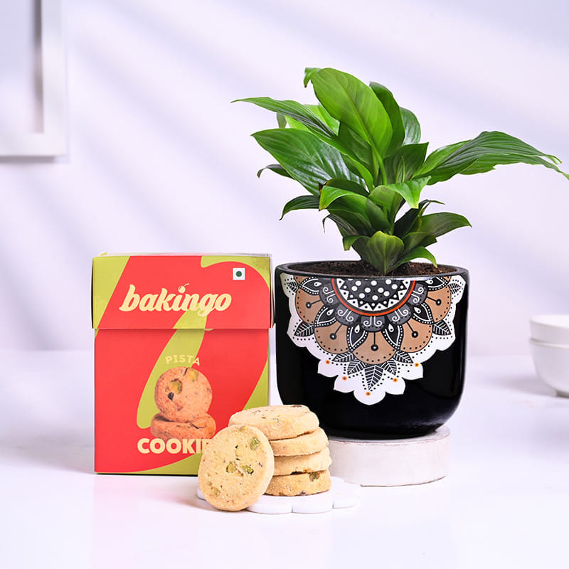 Peace Lily In Mandala Pot With Pista Cookies