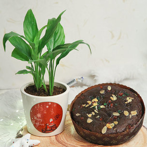 Peace Lily N Plum Cake Gift For Christmas