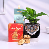 Peace Lily Plant In Black Mandala Pot With Treats