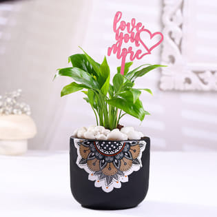 Peace Lily Plant In Mandala Pot With Love Topper