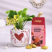 Peace Lily Plant N Almond Rock For Mom