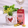 Peace Lily Plant N Almond Rock For Mom