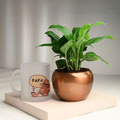 Buy Peace Lily Plant N Mug N Chocolates Online 