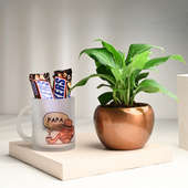 Peace Lily Plant N Mug N Chocolates Online 