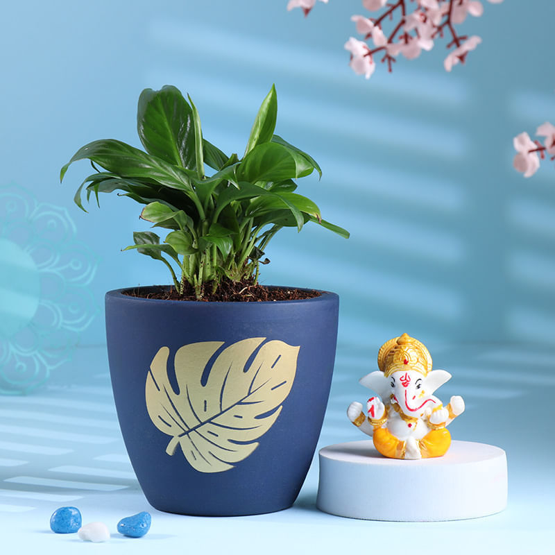 Peace Lily Plant With Charming Ganesha Idol