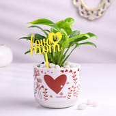 Peace Lily Plant With Love U Mom Topper
