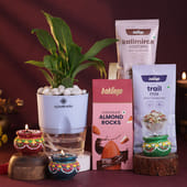 Peace Lily Plant With Treats N Diyas