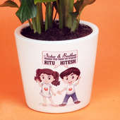 Product in Peace Lily Rakhi Plant