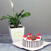 Peace Lily Plant with Blackforest Cake Combo for Mom