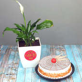 Peace Lily Plant with Buterscotch Cake Combo for Mom