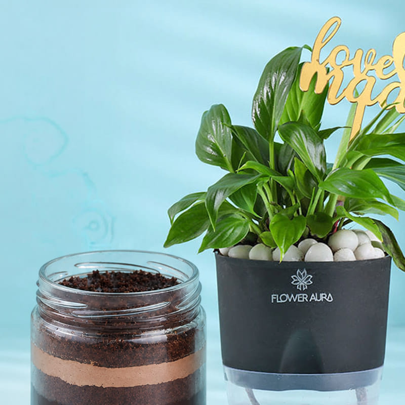 Product Image Video