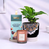 Peace Lily With Chocolate N Scented Candle