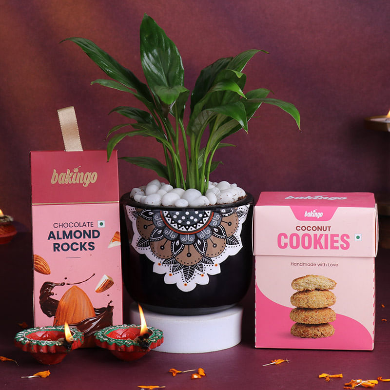 Peace Lily With Treats N Diyas