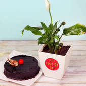 Peace Lily Plant with Chocolate Truffle Cake Combo for Mom