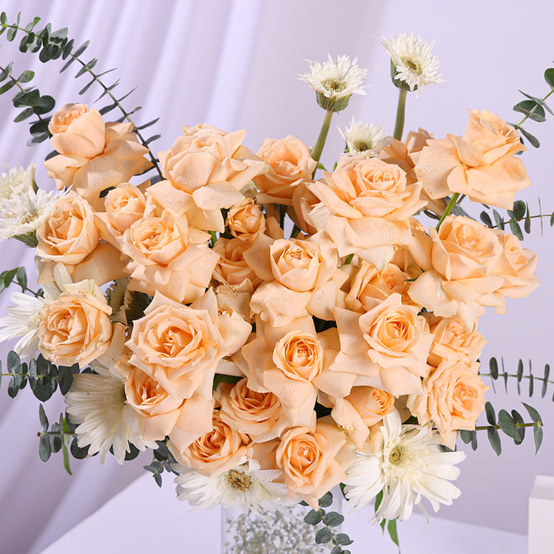 Peach Rose Elegance