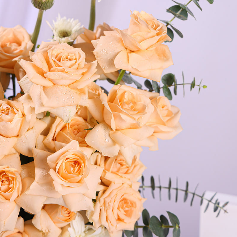 Peach Rose Elegance