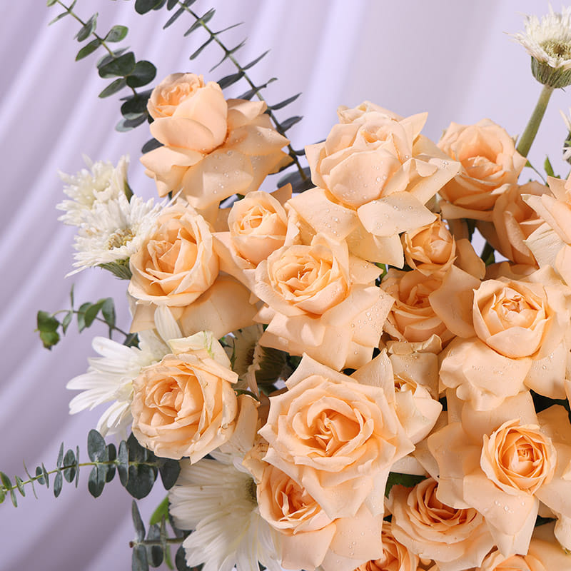 Peach Rose Elegance