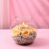 Peach Roses In A Soft Glow