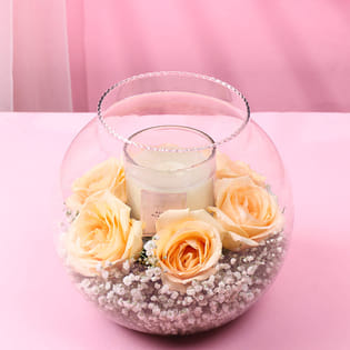 Peach Roses In A Soft Glow