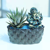 Pearl Haworthia Plant - Succulent and Cactus Plant Indoors in Designer Bonsai Tray and Ganesh Idol