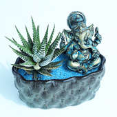 Pearl Haworthia Plant - Succulent and Cactus Indoors in Bonsai Tray with Ganesh Idol