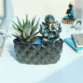 Pearl Haworthia Plant - Succulent and Cactus Plants Indoors in Bonsai Tray with Ganesh Idol