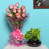 Perennial Money Plant Rose Combo - Good Luck Plant Indoors in Potouri Vase with Bunch of 10 Pink Roses
