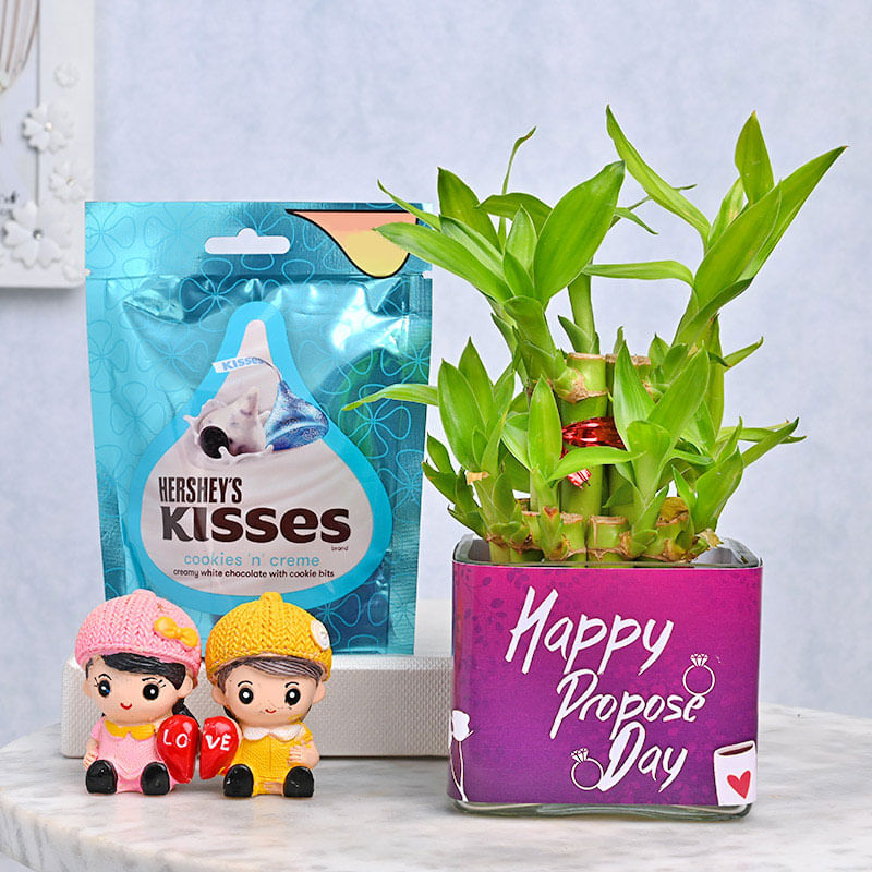 Perfect Couple Bamboo Plant Combo