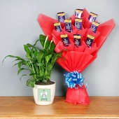 Peace Lily Plant and Perfect Chocolate Bouquet Combo
