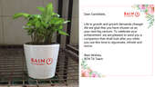 Personalised Bain Plant Product 