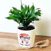 Personalised Love Dracaena Plant