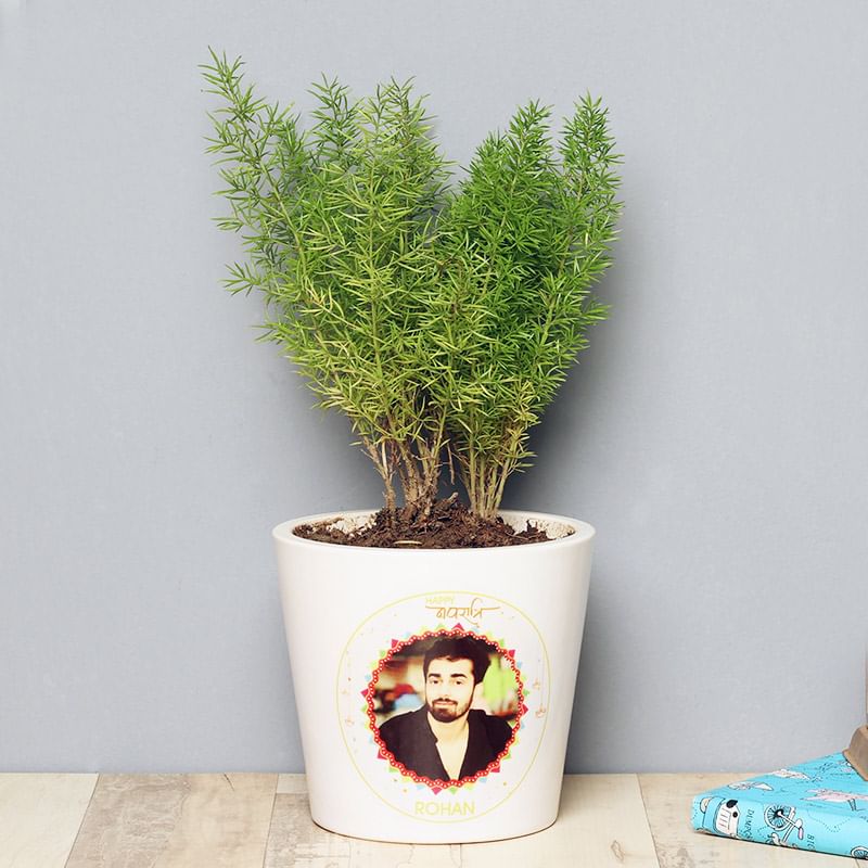 Personalised Navratri Fern Plant